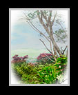 A vintage look of a landscape in Belize thumbnail